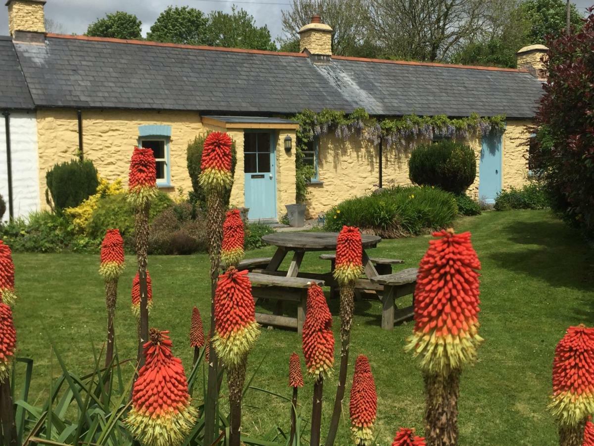 Charming Welsh Cottage Johnston Buitenkant foto